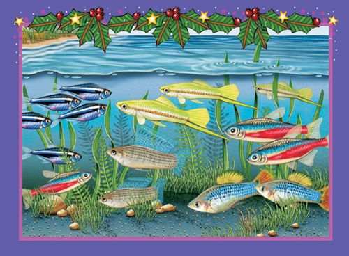 Tetra Fish Christmas Cards Set of 10 cards & 10 envelopes
