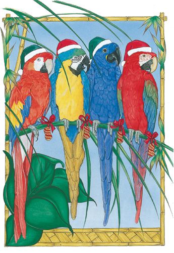 Macaw Parrot Christmas Cards 10 cards & 10 envelopes