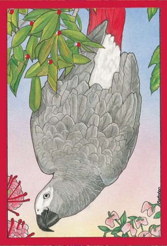 African Grey Parrot Christmas Cards Set of 10 cards & 10 envelopes
