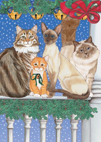 Cat Holiday Concerto Christmas Cards 10 cards & 10 envelopes