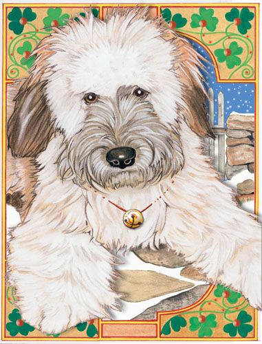 Wheaten Terrier Christmas Cards Set of 10 cards & 10 envelopes