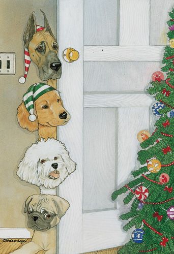 Dog Group Take a Peek Christmas Cards Set of 10 cards & 10 envelopes