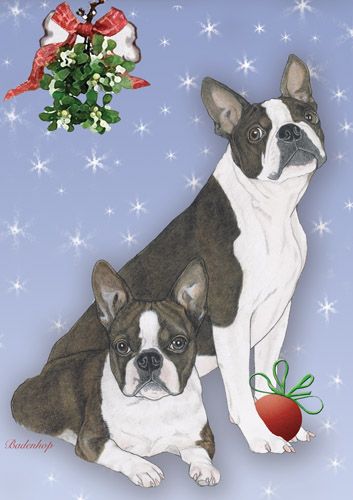 Boston Terrier Christmas Cards Set of 10 cards & 10 envelopes