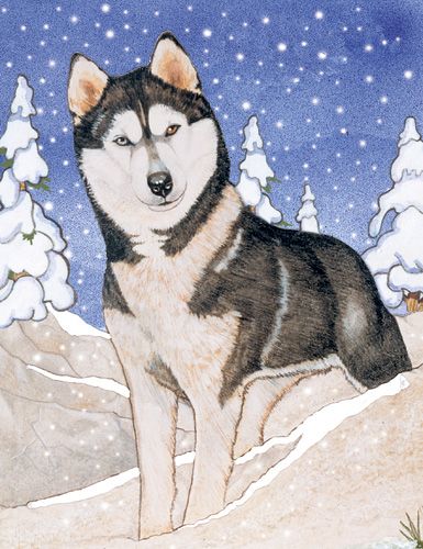 Siberian Husky Christmas Cards Set of 10 cards & 10 envelopes