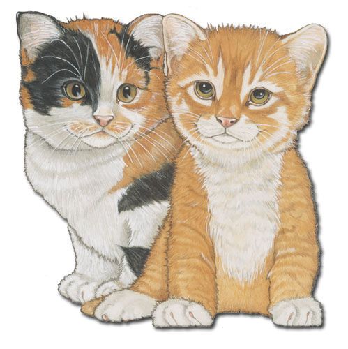 Cat Calico and Tabby Cat Magnet Wooden
