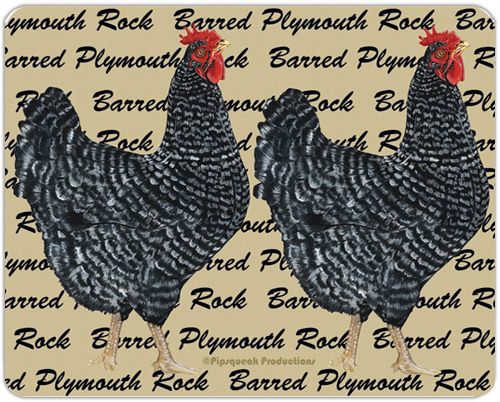 Chicken Barred Plymouth Rock Cutting Board Tempered Glass 8" x 10"