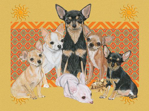 Chihuahua Blank Note Cards Boxed