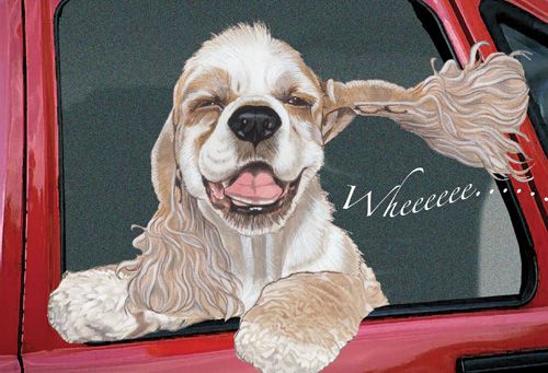Cocker Spaniel Blank Note Cards Boxed
