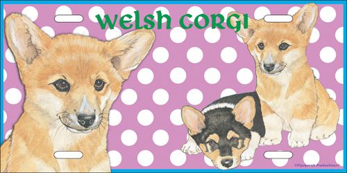 Corgi Welsh Pembroke License Plate