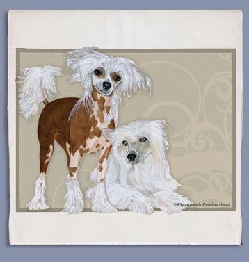 Chinese Crested Dish Towel