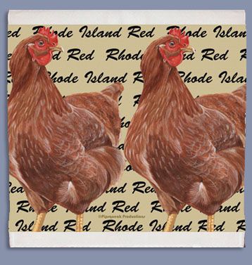 Chicken Rhode Island Red Dish Towel
