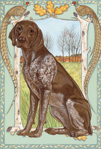 German Shorthaired Pointer Blank Note Cards Boxed