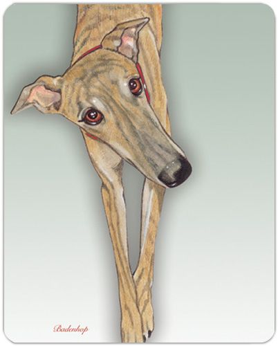 WB019986 "Greyhound Chien planches en bois 