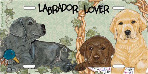 Labrador License Plate