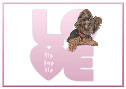 Yorkshire Terrier Love Note Card 3.5 x 5 with envelope