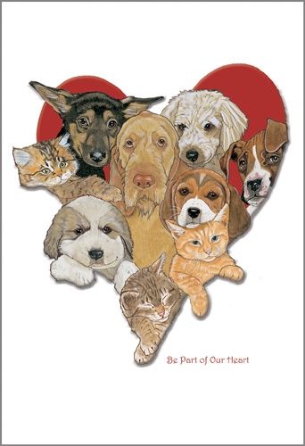Pet Sympathy Cards Boxed Set of 10 cards and 10 envelopes
