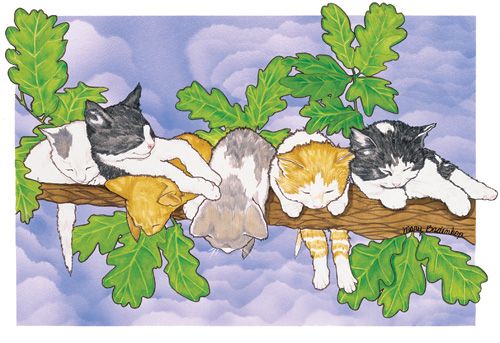 Cats Out on a Limb Birthday Card 5 x 7 with Envelope
