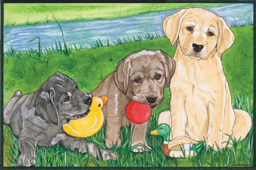 Labrador Retriever Lab Puppies Birthday Card 5 x 7 with Envelope