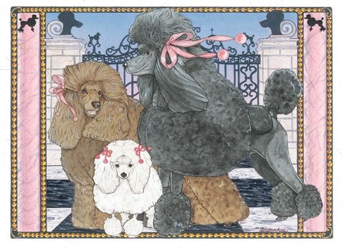 Poodle Blank Note Card