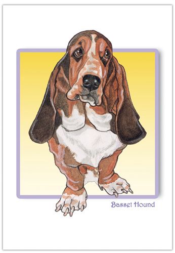 Basset Hound Blank Note Cards Boxed