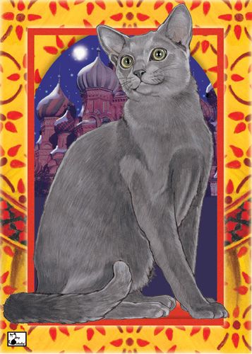 Russian Blue Cat Birthday Card 5 x 7 with Envelope