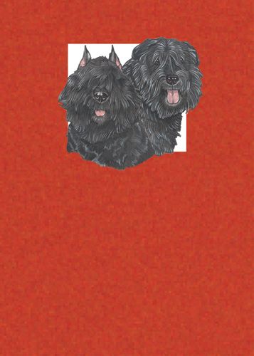 Bouvier des Flandres Birthday Card 5 x 7 with Envelope
