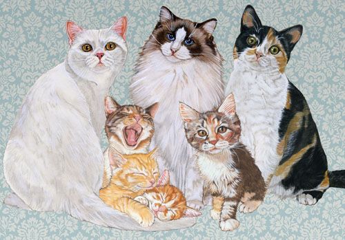 Cats Feline Friends Birthday Card 5 x 7 with Envelope