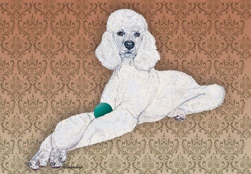 Poodle Standard White Blank Note Card