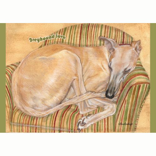 Greyhound Fawn Blank Note Cards Boxed Set of 10 cards & 10 envelopes