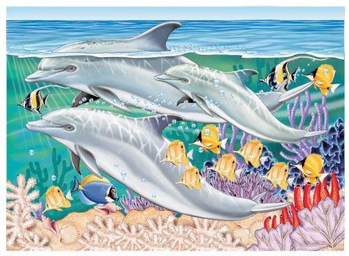 Dolphin Note Cards Set of 10 cards & 10 envelopes