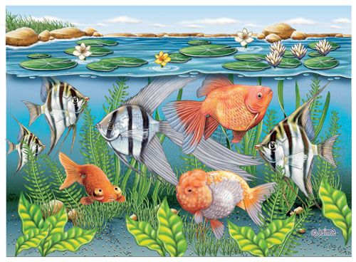 Goldfish and Angelfish Note Cards Set of 10 cards & 10 envelopes