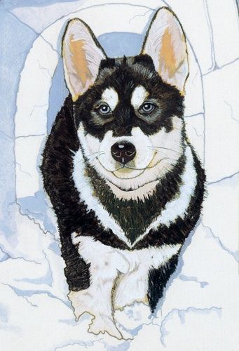 Siberian Husky Dog Birthday Card 5 x 7 with envelope