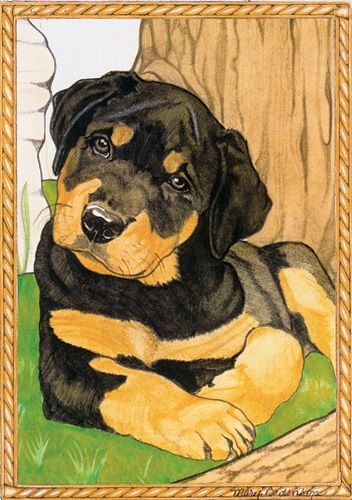 Rottweiler Pup Blank Note Cards Boxed