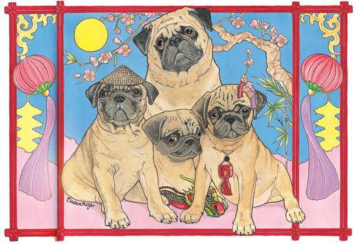 Pug Blank Note Cards Boxed