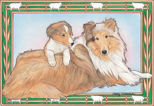 Collie Birthday Card 5 x 7 with Envelope