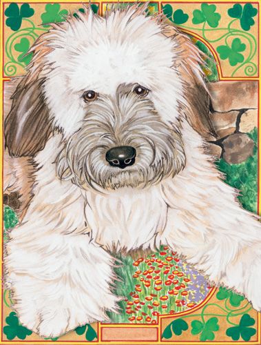Wheaten Terrier Birthday Card 5 x 7 with envelope