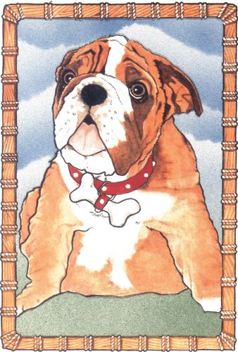 Bulldog Birthday Card 5 x 7 with Envelope