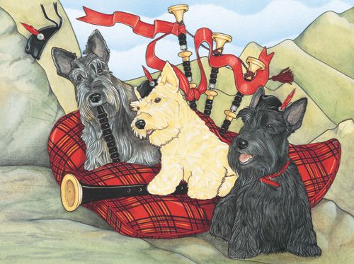 Scottish Terrier Birthday Card 5 x 7 with Envelope