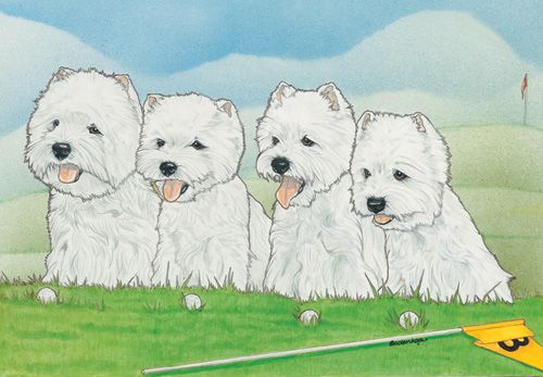 West Highland Terrier Westie Birthday Card 5 x 7 with Envelope