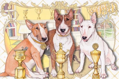 Bull Terrier Birthday Card 5 x 7 with Envelope