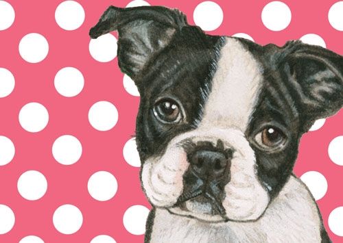Boston Terrier Small Blank Note Card