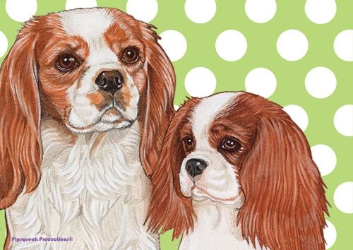 Cavalier King Charles Small Blank Note Card