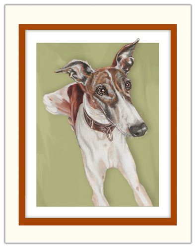 Greyhound Brindle and White Limited Edition Matted Print