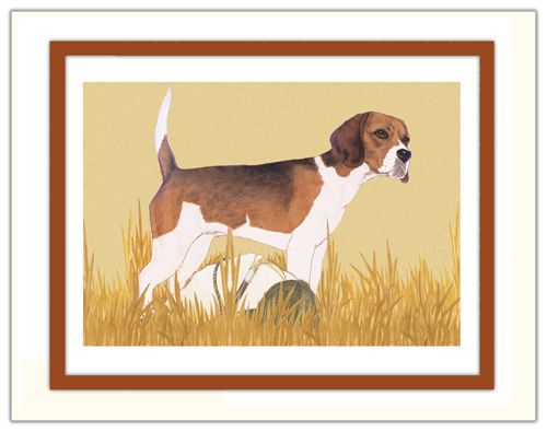 Beagle Limited Edition Matted Print