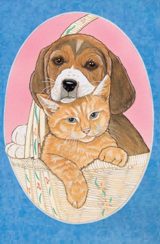 Pet Sympathy Cards Boxed 10 cards and 10 envelopes