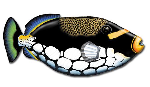 Triggerfish Magnet Wooden