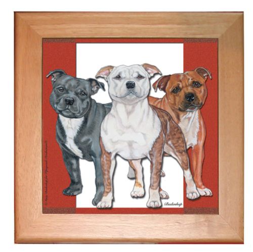 Staffordshire Bull Terrier Staffie Dog Ceramic Trivet Framed in Pine 8" x 8"