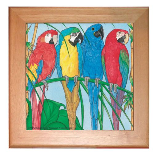 Macaw Parrot Kitchen Ceramic Trivet Framed in Pine 8" x 8"
