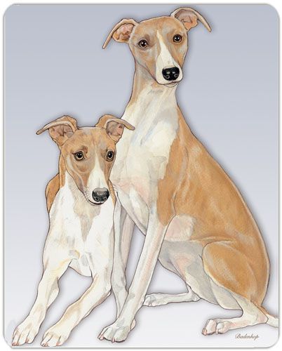 Whippet Cutting Board Tempered Glass 11.5 “ x 15.5”