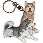 Alaskan Malamute Keychain, Souvenir Key Holder, Dog Charm Tag, Pet Key Rings Craft Ornaments, Wooden Die-Cut  